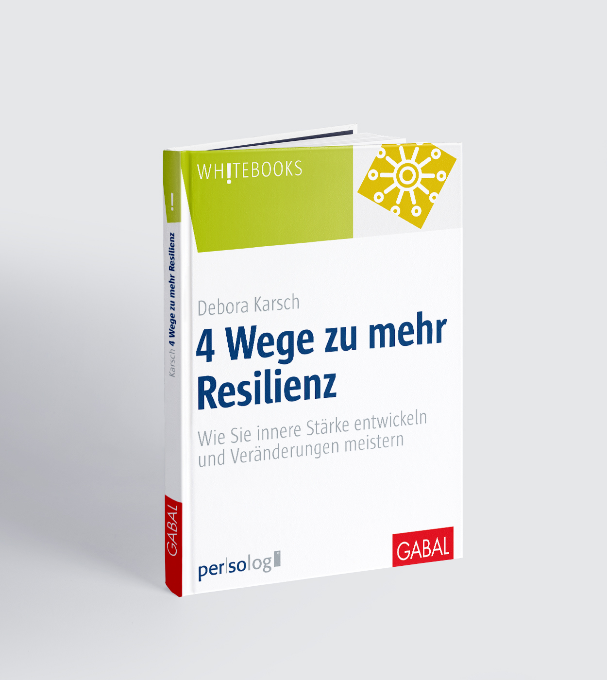 Resilienz-Profil